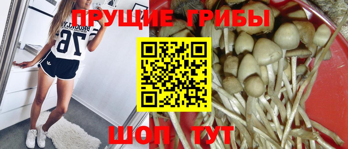 Галлюциногенные грибы Cubensis Орехово-Зуево