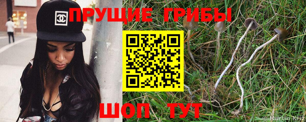 Орехово-Зуево  Галлюциногенные грибы GOLDEN TEACHER  Галлюциногенные грибы Magic Shrooms  Вход с VPN 